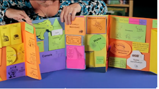 Creation Studio – Phoenix Education Foundation